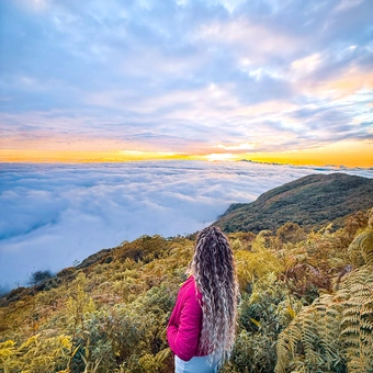 Trilha Pico da Caledônia – Nova Friburgo (RJ)