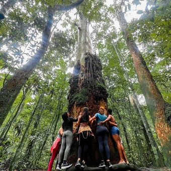 Trilha Pico da Tijuca + Circuito de Cachoeiras